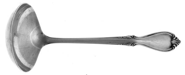 Southern Splendor (Silverplate) Solid Gravy Ladle