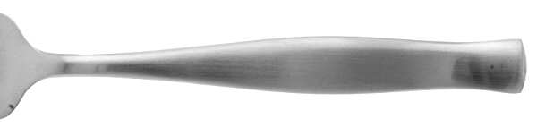 Moderne (Stainless) by Sabatier
