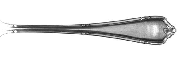 SRS34 (SILVERPLATE) by Sears Roebuck