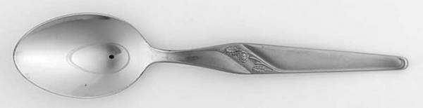 SLK6 (STAINLESS) Teaspoon