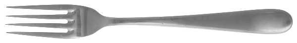 Rio (Stainless) Fork