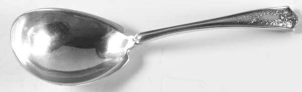 Winthrop (Sterling, 1909) Tea Caddy Spoon