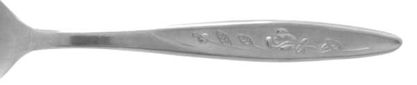 TNH1 (STAINLESS) by Towne Hall