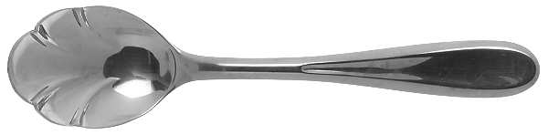 Aaragon (Stainless) Sugar Shell Spoon