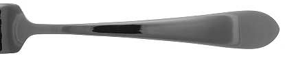 Boston Antique (Stainless, Glossy) by Towle Silver
