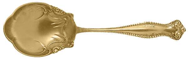 Canterbury (Sterling, 1893) Large Jelly Spoon