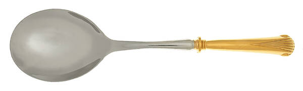 Gold Aristocrat (Gold Electroplate) Casserole Spoon with Smooth Stainless Bowl HC