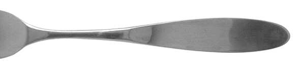 Magnum (Stainless, Japan-Korea-Vietnam) by Towle Silver