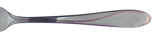 Ron De Vu-Gold Accent (Stainless) by Towle Silver