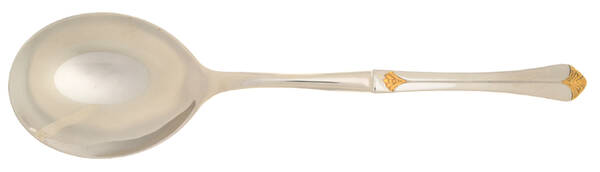 Santa Barbara Gold (Stainless) Casserole Spoon with Smooth Stainless Bowl HC
