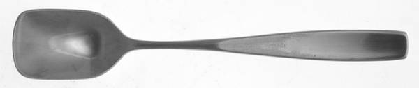 Starling (Stainless) Sugar Spoon