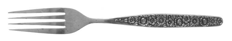 TWS152 (Stainless) Fork