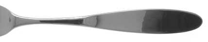 Magnum II (Stainless) by Towle Silver