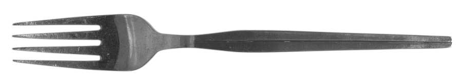 TWS272 (STAINLESS) Fork