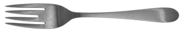 TIS53 (Sterling) Youth Fork