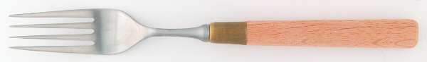 TNG1 (Stainless) Fork