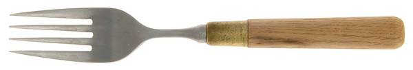 TNG1 (Stainless) Individual Salad Fork