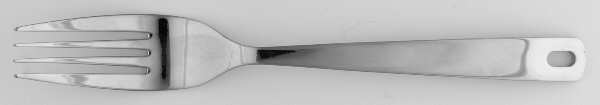 Revolution (Stainless) Fork