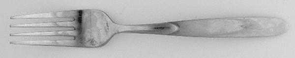 TOT20 (Stainless) Fork