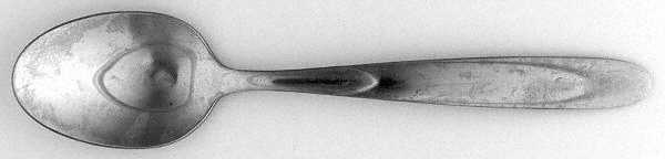 TOT20 (Stainless) Teaspoon