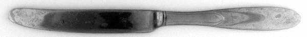 TOT20 (Stainless) New French Solid Knife