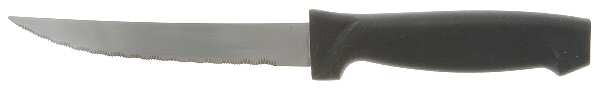 Ariel-Satin (Stainless) Plastic Handle Individual Steak Knife