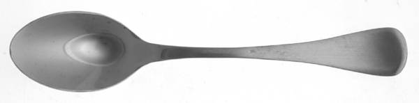 TPM6 (Stainless) Teaspoon