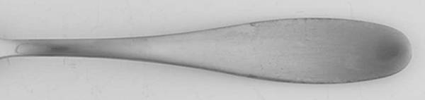 Satin Petal (Stainless) by Towle Silver