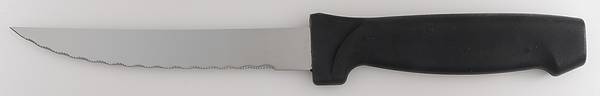 Logan Hammer Ring (Stainless) Individual Steak Knife Hollow Handle