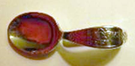 Nursey Rhymes (Sterling) Curved Handle Baby Spoon