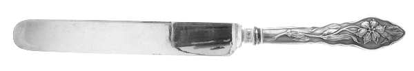 Narcissus (Sterling, 1890, No Monograms) Blunt Hollow Table Knife with Bolster