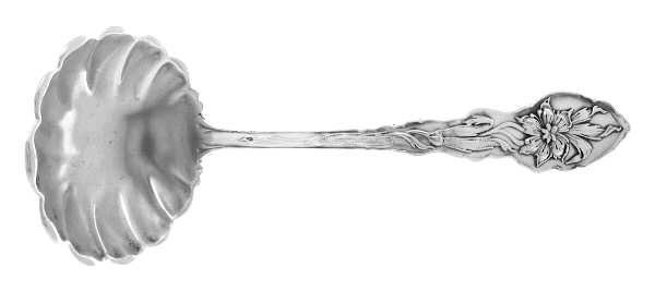 Narcissus (Sterling, 1890, No Monograms) Solid Gravy Ladle