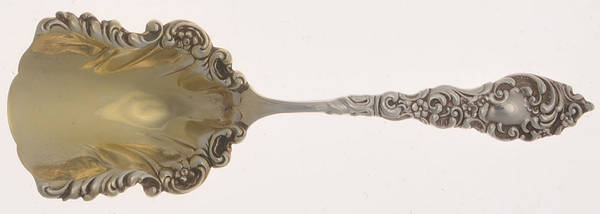 Passaic (Sterling, 1900) Tea Caddy Spoon