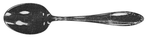NMI (Stainless) Teaspoon