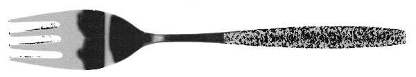 North Star (Stainless) Fork