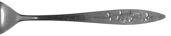 UNF182 (Stainless) by Unknown Mfg Silver