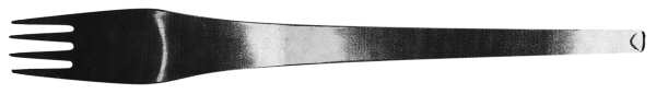 UNF266 (Stainless) Fork