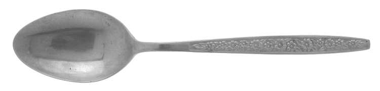 Anneka (Stainless) Teaspoon