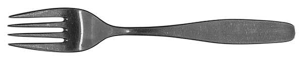 UNF296 (Stainless) Fork