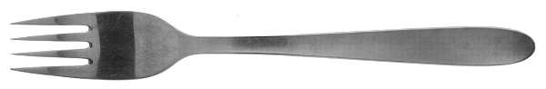 UNF347 (Stainless) Fork