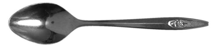UNF47 (Stainless) Teaspoon