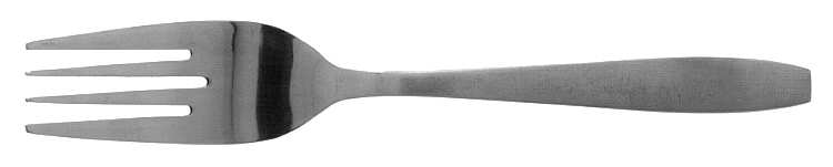 Contempo (Stainless) Fork