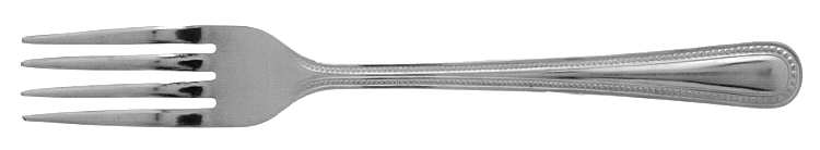 New Look (Stainless) Fork