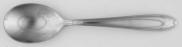 Pretty (Stainless) Sugar Spoon