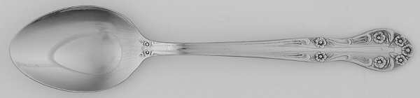 Saranac (Stainless) Teaspoon
