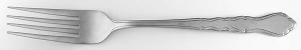 UNF497 (Stainless) by Unknown Mfg Silver