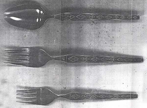 UNF525 (Stainless) Fork