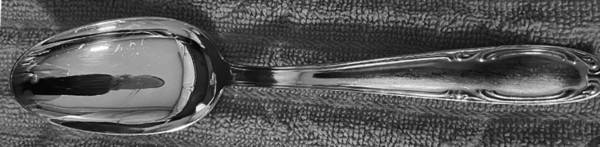 BZG1 (silverplate) by Berger