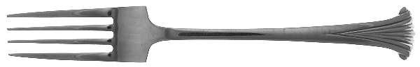 VS30 (Stainless) Fork
