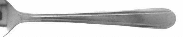 DOMINION (STAINLESS) Teaspoon